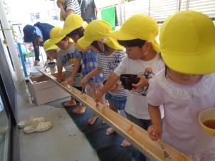 三鷹ちしろの木保育園
