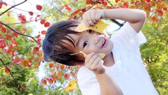 かしわたなかこころ保育園(千葉県・派遣社員)の保育士求人イメージ3