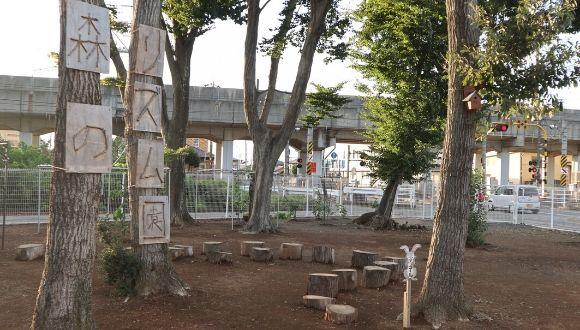 森のリズム園(栃木県・正社員)の保育士求人イメージ3