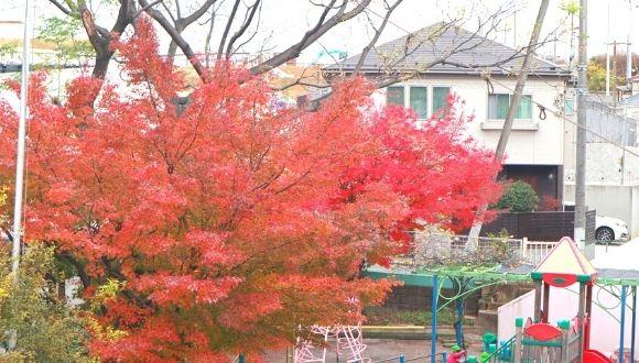 鶴見乳幼児福祉センター保育園(神奈川県・パート・バイト)の保育士求人イメージ4