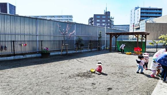 野のはな保育園(東京都・正社員)の保育士求人イメージ3