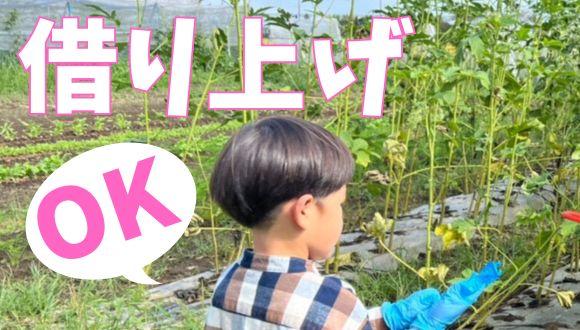 グローバルキッズたまプラーザ保育園(神奈川県・正社員)の保育士求人イメージ4